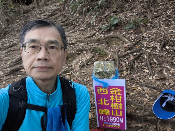 金柑樹、嶺頭山、忘憂森林2956107