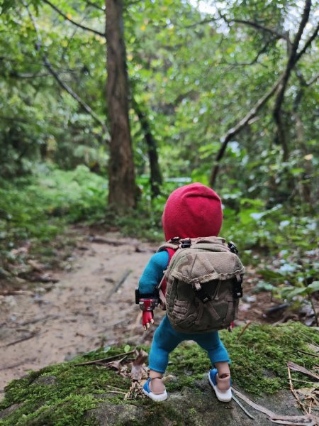 2023.12.14 鵲子山2804607