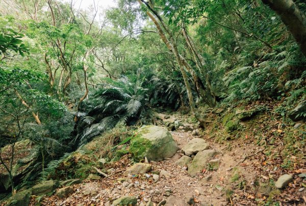 錐麓古道 Zhuilu Old Road ・走在徒手刻鑿的大理石山壁中【Silent Hiking】2434622