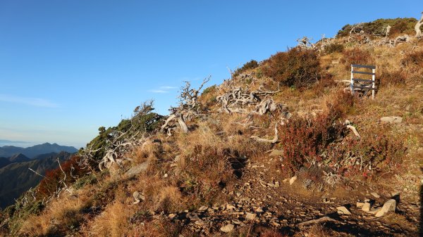 雪山主東峰登山健行趣(百岳02號＆74號)1882721