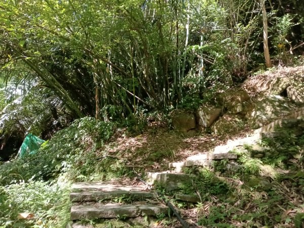 汐止區白雲古道+白雲寺O型2911956