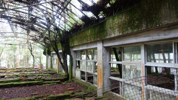 雙龍林道上巒安堂西巒大山1778656