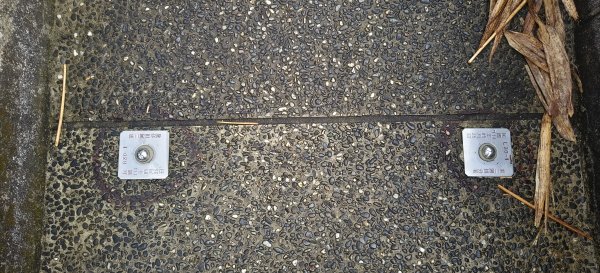 獅潭觀魚步道+潭老街-2026/03/293026411