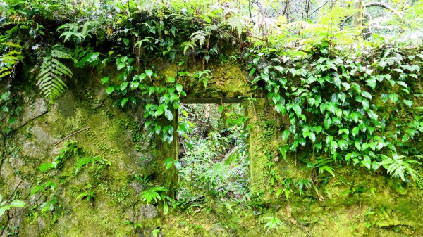 石笋古道,焿子寮古道,松子嶺古道2798349