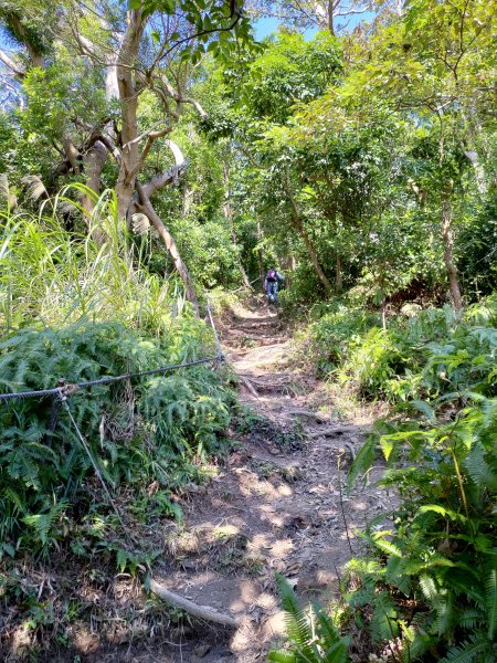 觀音山小北插-鷹仔尖-占山-福隆山步道808475