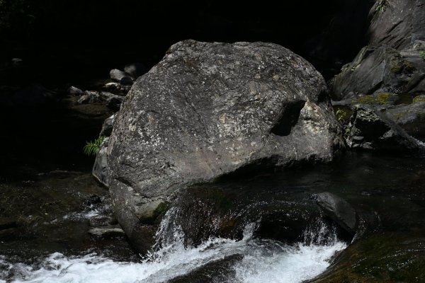 2025_0628 大羅蘭溪古圳步道(福山馬岸)2825228