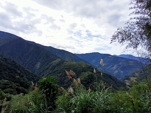 雲霧、晚霞、彩虹三箭齊發的羅山林道北線、油羅山 H1764m (巧遇野孩子小樂)1532749