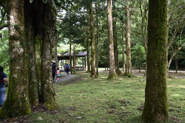 2025_0712 福山植物園2836141