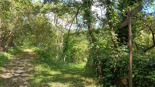 金山區大路崁古道-土地公步道-兩湖保甲路-水圳路3121312