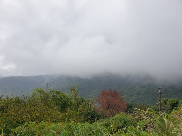 臺北大縱走第四段1515944