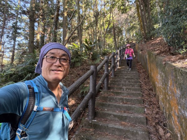 鳴鳳山-錫隘古道大O繞-202601252991415