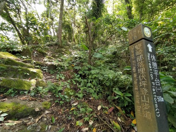 埋伏坪登山步道1750024