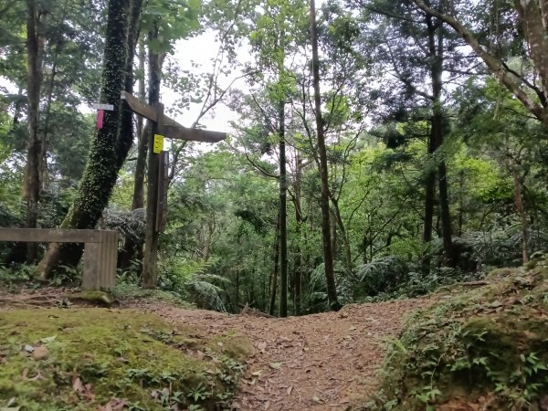 平溪區嶺腳越嶺古道+嶺腳步道+嶺腳石窟大瀑布O型2824088