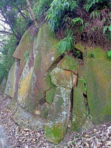 半嶺步道、松溪瀑布、橫嶺古道、湖山綠地【發現陽明山、走路趣尋寶、健康大穀東】2321337