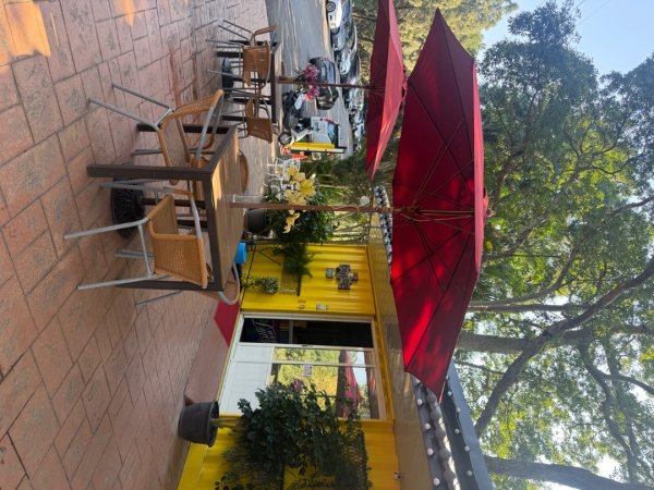 20260221 飛沙新路3003405