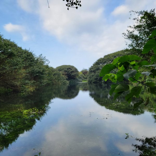 麟山鼻岬角步道1621076