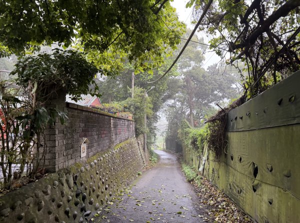 [樟之細路_第一大段RSA05] 2026_0329 石門大圳3027192