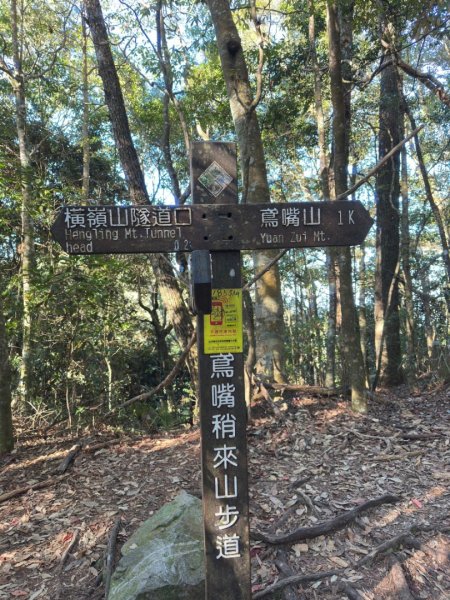 20241220鳶嘴山2675798