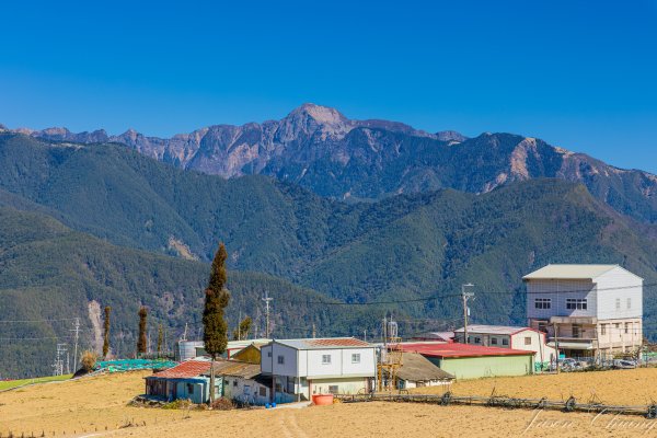 福壽山千櫻園櫻花盛開2724938