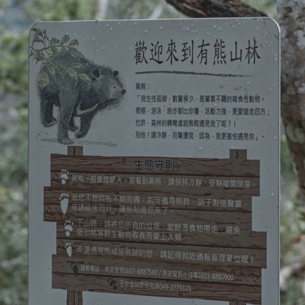 瓦拉米步道-佳心營地住一晚2708455