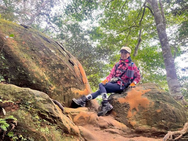 🌈12/28（日）北得拉曼神木+內鳥嘴山✨FB：熊熊趴爬走🌈2971306