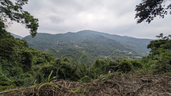 115.04.11啦卡步道-大刀山之旅3034649