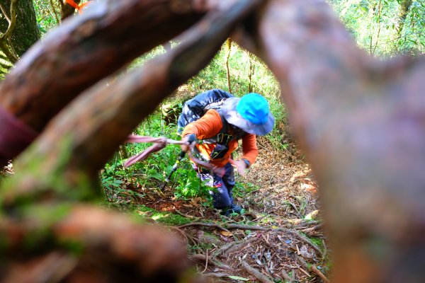 光影森林-那結山縱走貴妃山773706