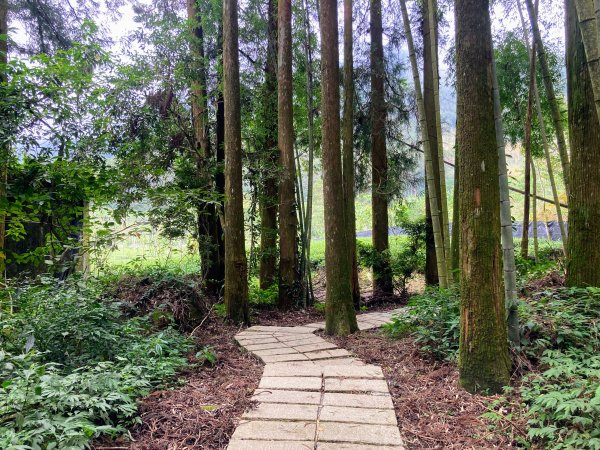 阿里山頂湖步道2625736