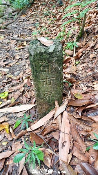 【南投草屯】蝴蝶紛飛可惜抵擋不了低海拔蚊子攻擊。 虎山步道x中興新村2856643