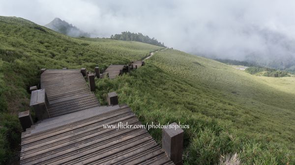 20180703合歡東峰376204