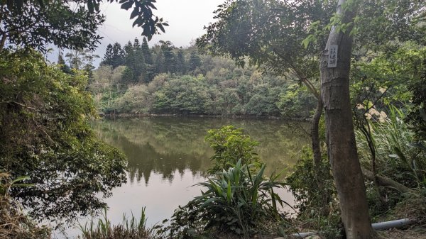 福人登山步道2069893