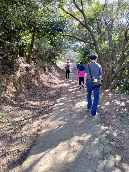 五酒桶山步道759875