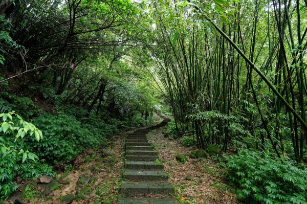 新北 瑞芳 頂子寮山、五分山2615511