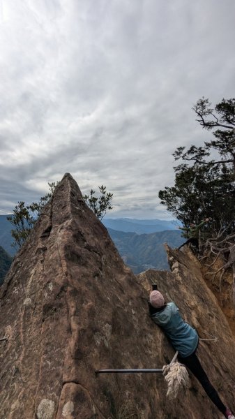 北得拉曼巨木步道2695507