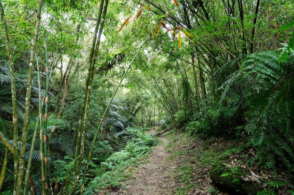 新北 平溪 嶺腳寮山2601051