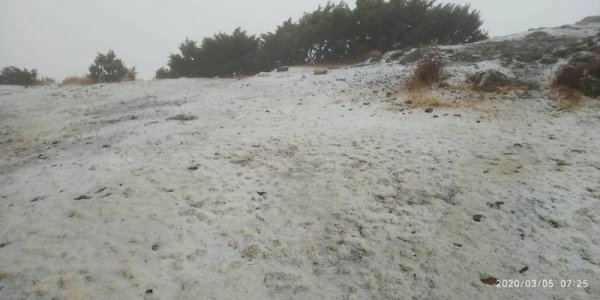 【新聞】低溫和水氣配合！ 玉山今天上午降三月雪