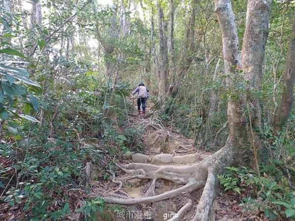 【屏東獅子鄉】海天一色。 台灣百大必訪步道~里龍山自然步道2550718