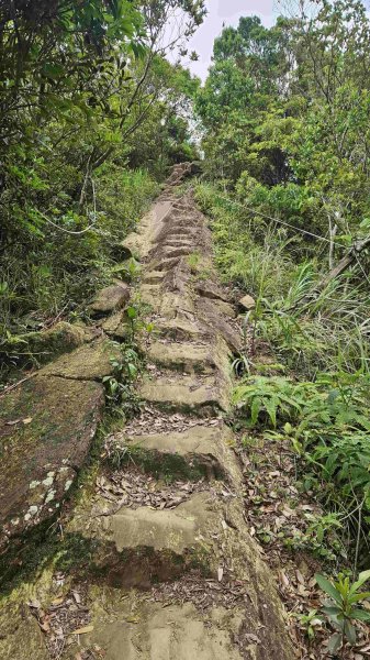 20250502大崙古道-崩山大崙-大崙西北峰-天王峰2776304