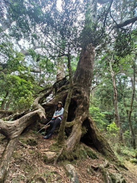 1130511夫拉縱走2500171