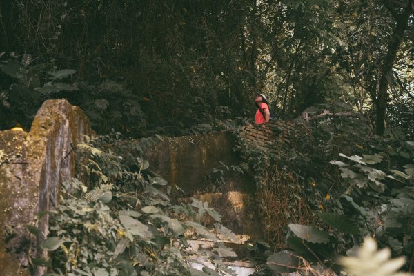 劍潭山 老地方2669512