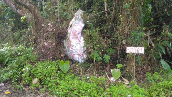 三腳南山〈H1187M〉（小百岳）294346