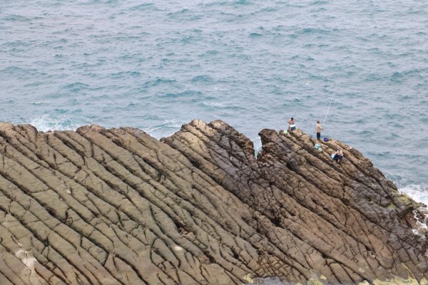 一路向海去~療癒的海景步道望幽谷濱海步道755015