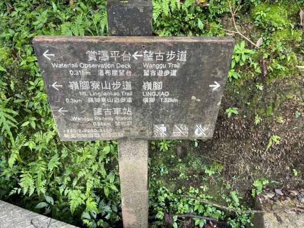 [微笑山線_第十二段] 2025_0803 五分山系_望古瀑布2851541