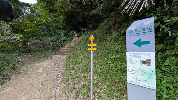 飛鳳山步道3118566