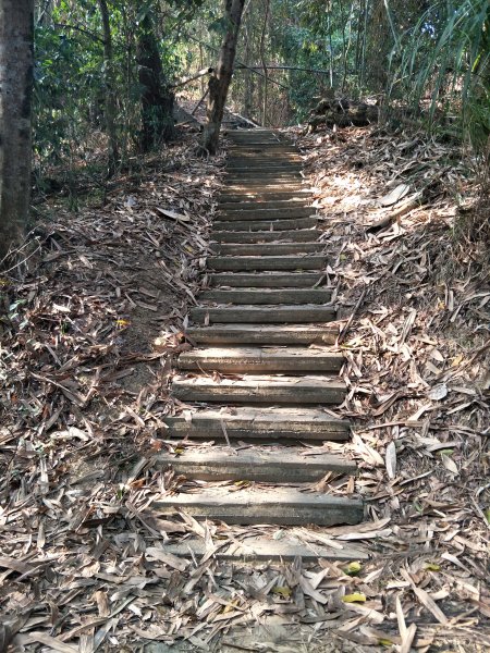 荷苞山登山步道1257472