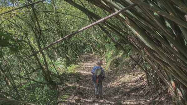 灣潭古道 & 北勢溪古道連走(淡蘭古道中路)2030164