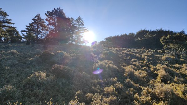 布拉克桑山單攻O繞嘉明湖戒茂斯山 2024年12月8日2666998