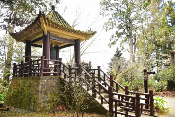 20260207阿里山健行追公車3010607