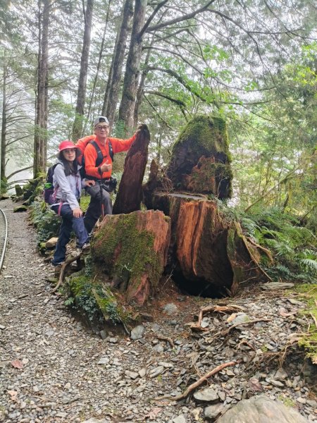 見晴懷古步道2940578