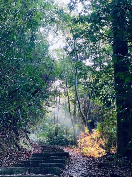 2021.03.14 「水社大山 」1307251